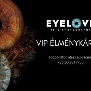 VIP Experience